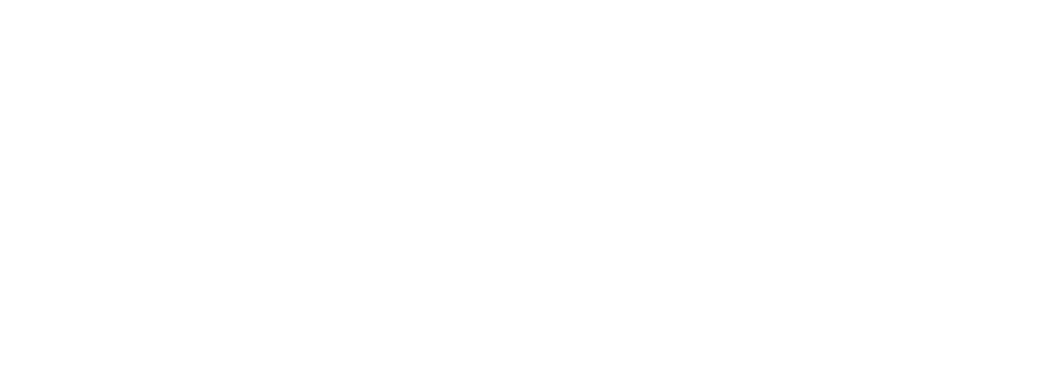 The Faces Of Charleston